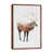 Brown Floater Framed