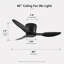 Ceiling Fan
