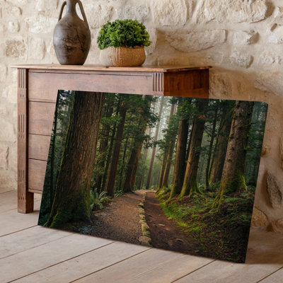 Canvas A Serene Forest Path Meanders Through Towering Ancient Trees With Wall Art Deeply Grooved Bark Their Trunks Covered In Patches Canvas Wall Art