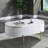Xinia Coffee Table