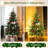 Kasir Lighted Christmas Tree-101658533