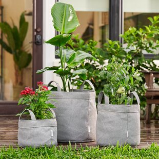 Delectable Garden 5 Gallon Plant Grow Bags, Non-Woven Aeration Fabric Pots  w/Handles - Reinforced Weight Capacity & Extremely Durable (Black)--50% OFF