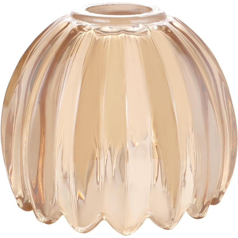Abat-jour tulipe en verre ambré (1 paquet), diamètre d'ouverture de 3,6 cm, épais et résistant, pour applique murale, suspension, plafonnier et lustre.