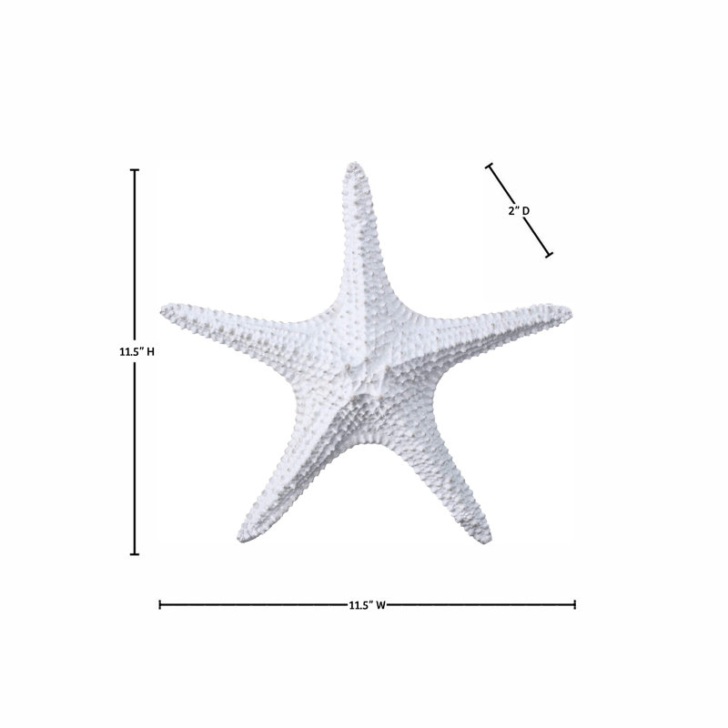 11.5" Resin Amalfi Starfish