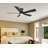 Georgann Ceiling Fan with LED Lights-446812564