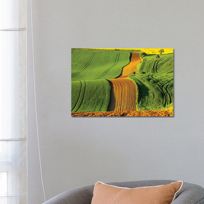 Czech Republic Moravia Rapeseed Field II 1 Piece Wrapped Canvas Wall Art