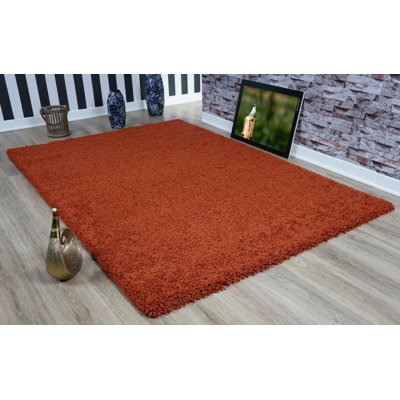 Kayne Shaggy Area Rug