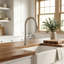 Single Handle Kitchen Faucet with Pull-Down Sprayer