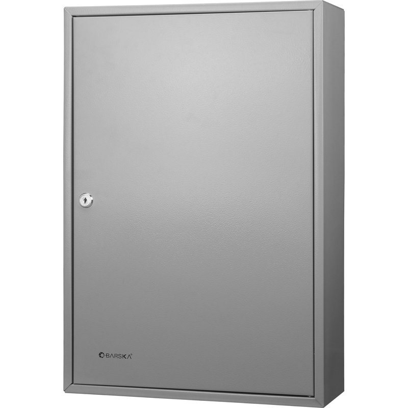 Armoire de rangement réglable 150 avec clé, H 21,75 po x l 14,75 po x P 5,5 po