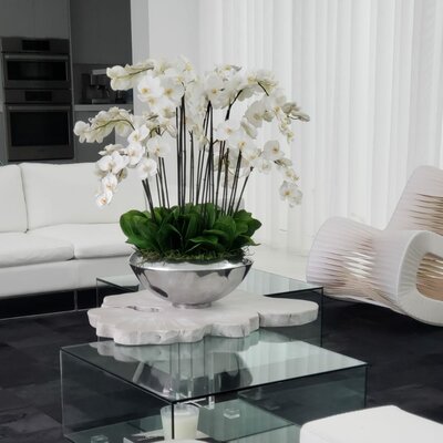 Multiple Stems of Phalaenopsis Orchid Centerpiece in Planter -  Red Barrel Studio®, B1C67F38BD294F45AA21AB08F299B349