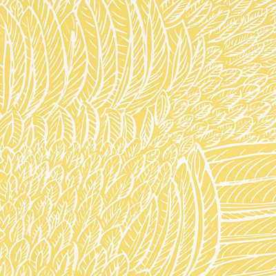 Papier peint Featherfest