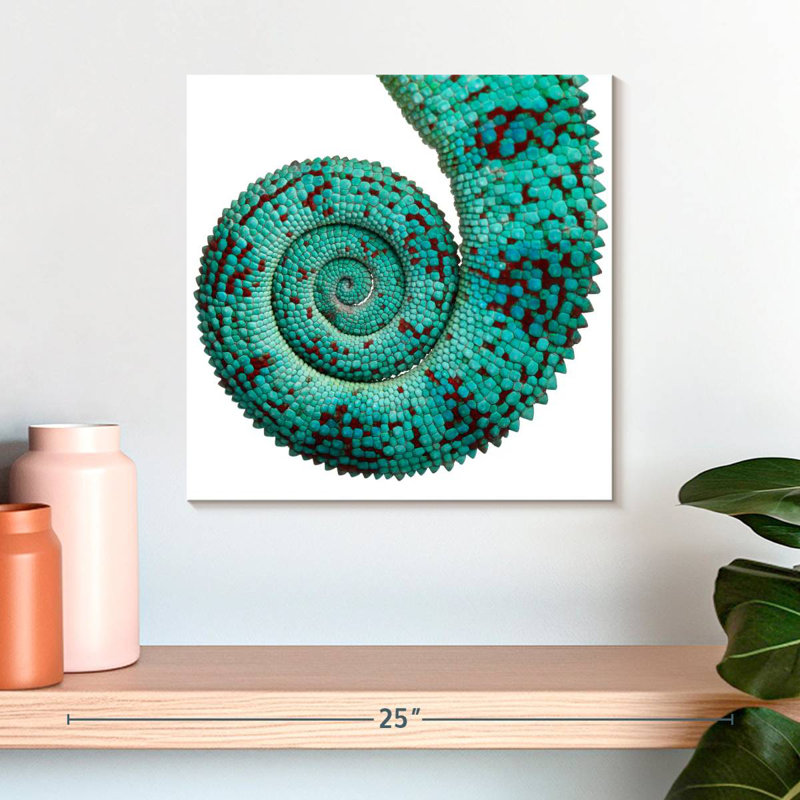 Crowle Chameleon Tail