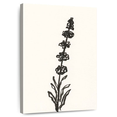 Harnek Ink Botanical Sketch IV