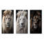 Lions, photographie monochrome - lion, ensemble de 3 reproductions d'art en métal-1560208658