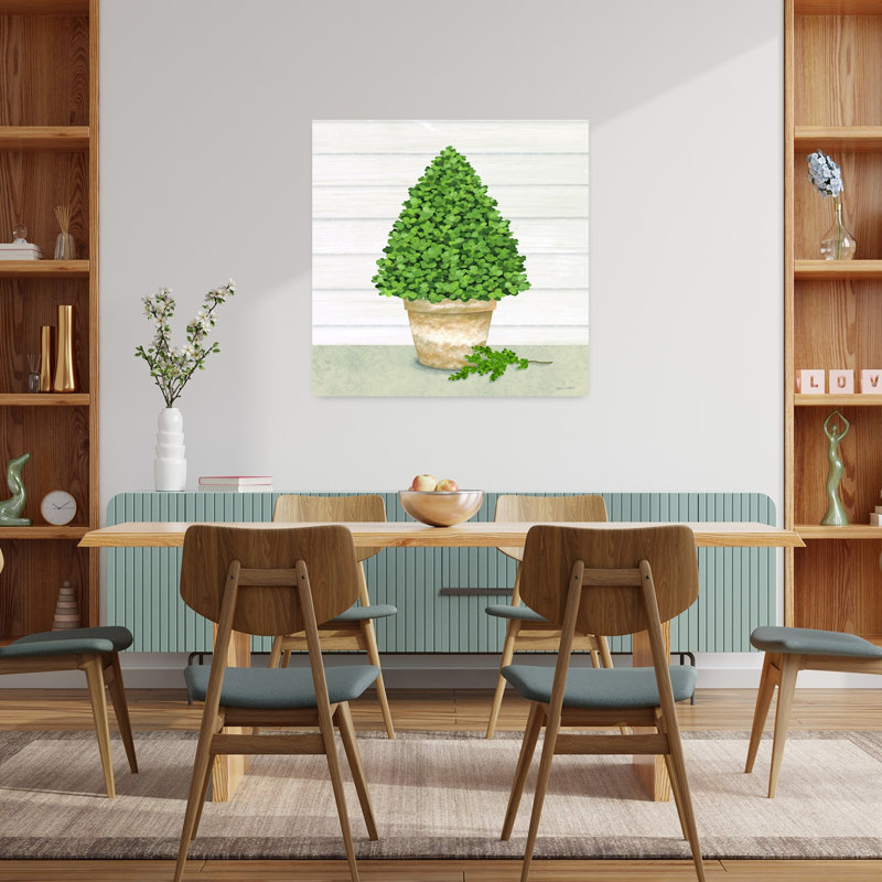 Arbre de buis en pot contemporain, H 36 po x l 36 po