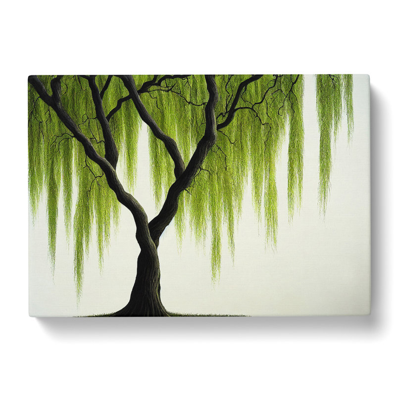 Irresistible Weeping Willow Tree - Wrapped Canvas, 35cm H x 50cm W x 3cm D