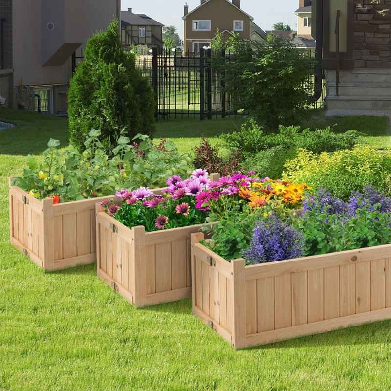 Raised Garden Bed