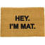 Adairsville Non-Slip Indoor Doormat