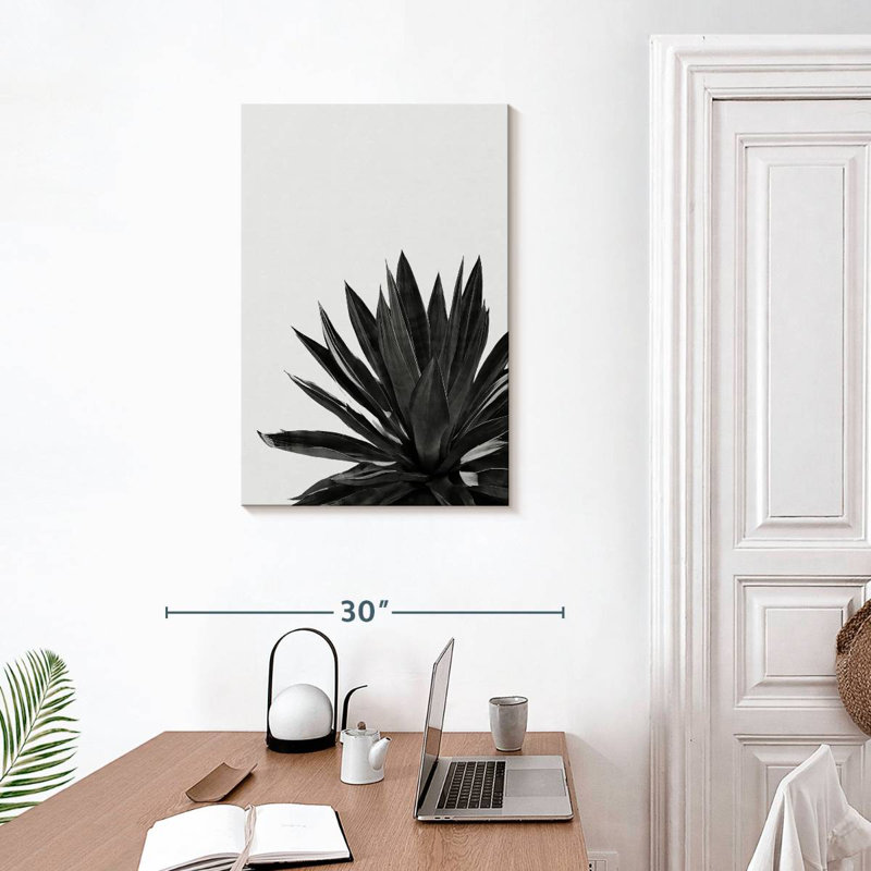 Harnek Agave Cactus BW, 30" H x 20" W