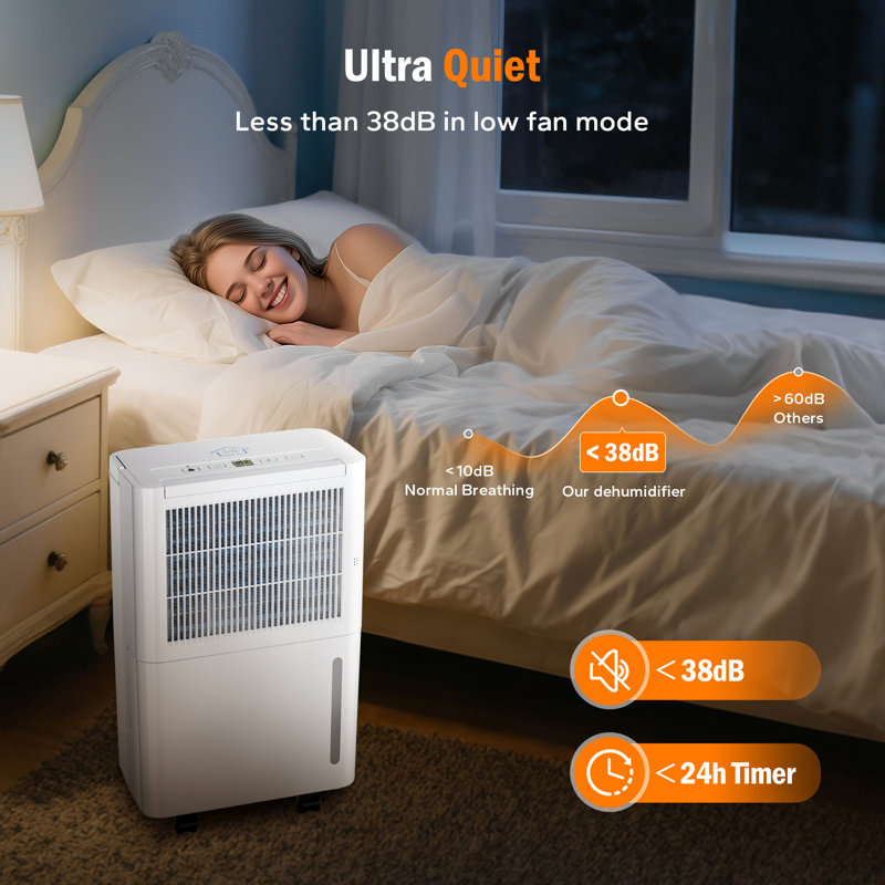 Déshumidificateur intelligent 12L: Drain automatique, minuterie 24H, Whisper 38Db pour les chambres à coucher et les placards