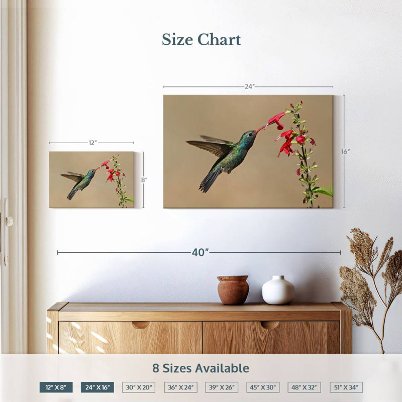 Broad-Billed Hummingbird Drinking Nectar, 16" H x 24" W