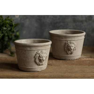 Lynda Pot Planter