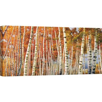 Betulle D'autunno by Adriano Galasso - Wrapped Canvas Print