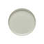 Pacifica Stoneware Dinner Plate