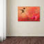 Vidur «Hummingbird and Peach Hibiscus», reproduction d'impression sur toile tendue-22075982