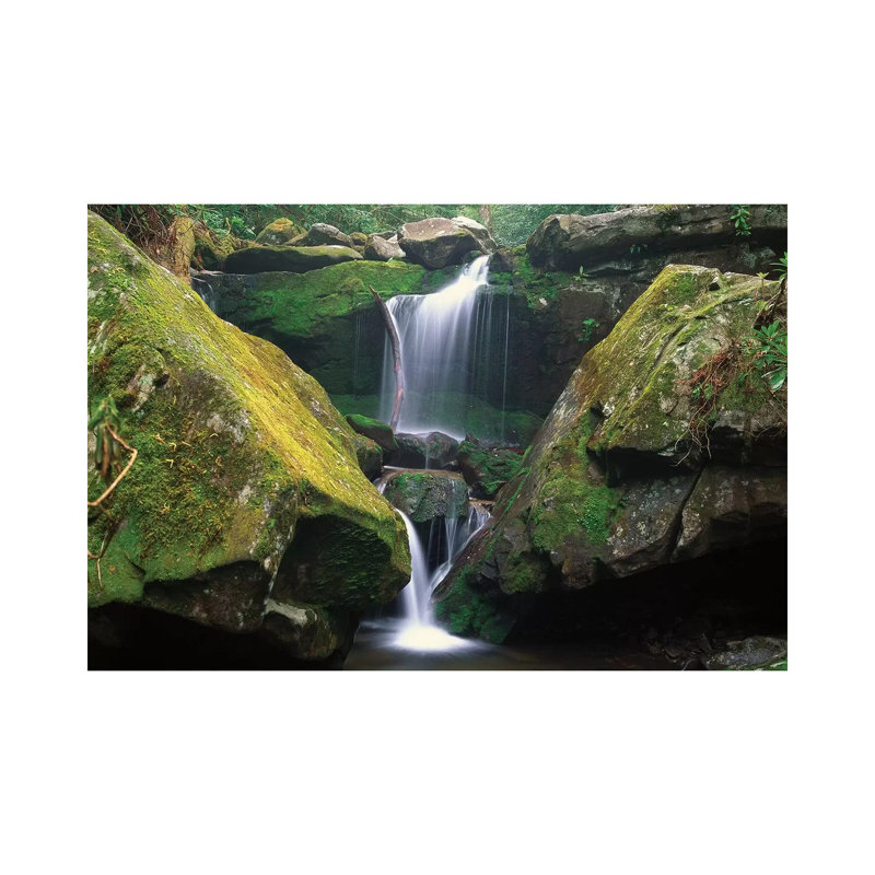 Cascade Near Grotto Falls, Great Smoky Mountains National Park by Tim Fitzharris - Wrapped Canvas Print