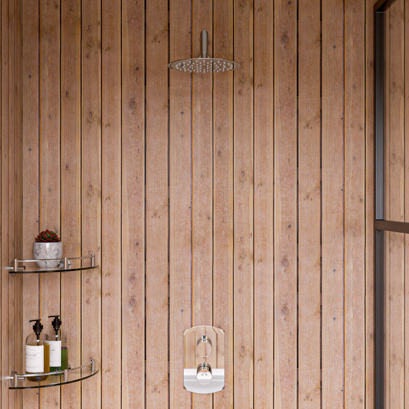 Pomme de douche à pluie, Acier inoxydable poli uni