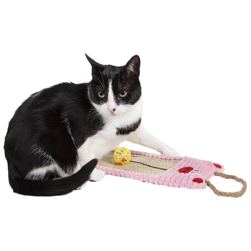 Pet Life ® Eco-Natural Sisal and Jute Hanging Carpet Kitty Cat Scratcher Lounge with Toy Pet Life ® Eco-Natural Sisal and Jute Hanging Carpet Kitty Cat Scratcher Lounge with Toy