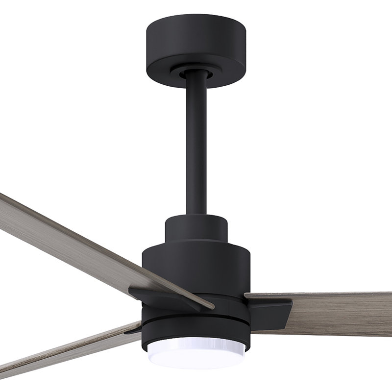 Alessandra - Three Blade Transitional Ceiling Fan -LED, Gray Ash Tone, 56", Matte Black