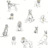 Peel & Stick Wallpaper Roll