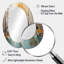 Birch Woods Golden Reflections I - Grand miroir mural ovale sur métal-1466379432