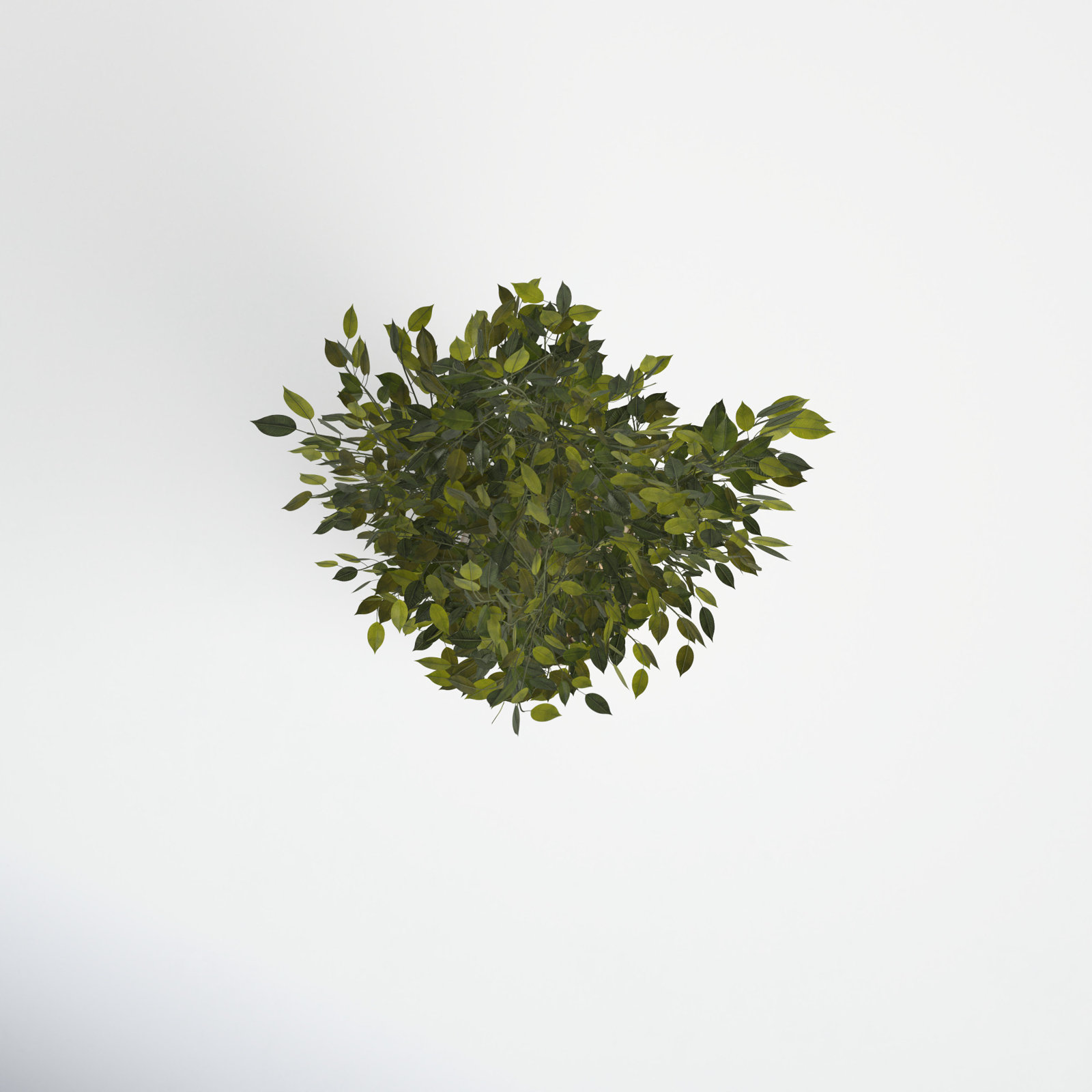 53'' Faux Ficus Tree in Earthenware Planter