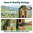 Birdfy Solar Powered Bamboo Smart Bird Feeder AI Lifetime Free  With Motion Detection Wireless Camera, Black