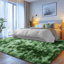 Shag Rug Soft Fluffy -Indoor Area Rug for Living Room Bedroom Nursery Kids Room