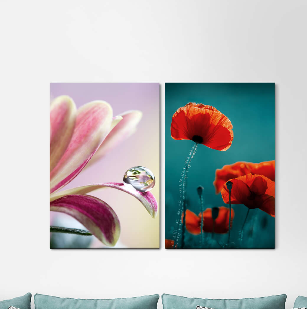 2-tlg. Leinwandbilder-Set - Fotografie „Poppy Drop Flowers Red Green”