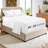 1000 Thread Count 100% Egyptian Cotton Deep Pocket Sheet Set-122269975-122269977
