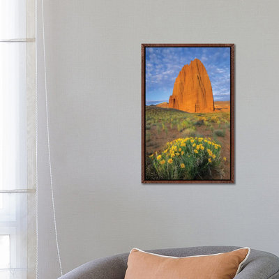 Common Sunflower Cluster And Temple Of The Sun, Capitol Reef National Park, Utah I 1 Piece Wall Art on Canvas