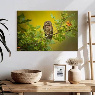 Owl Perching On Tree