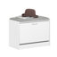 6 Pair Flip Down Shoe Storage-852983765