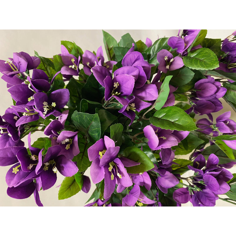 Bouginvillia, arrangement floral dans un vase, Violet