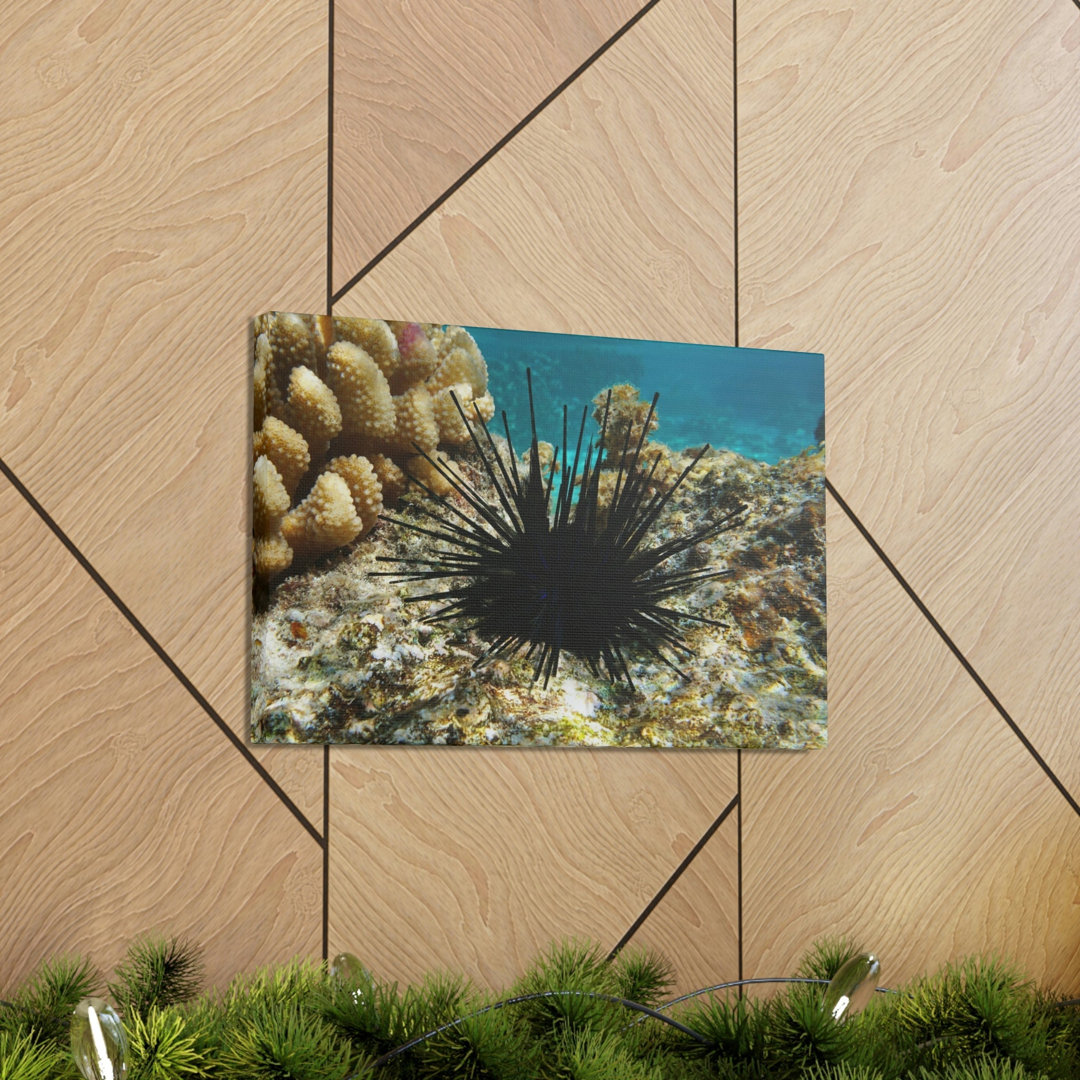 No Frame Print on Canvas