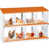 Orange 8 compartiments avec support