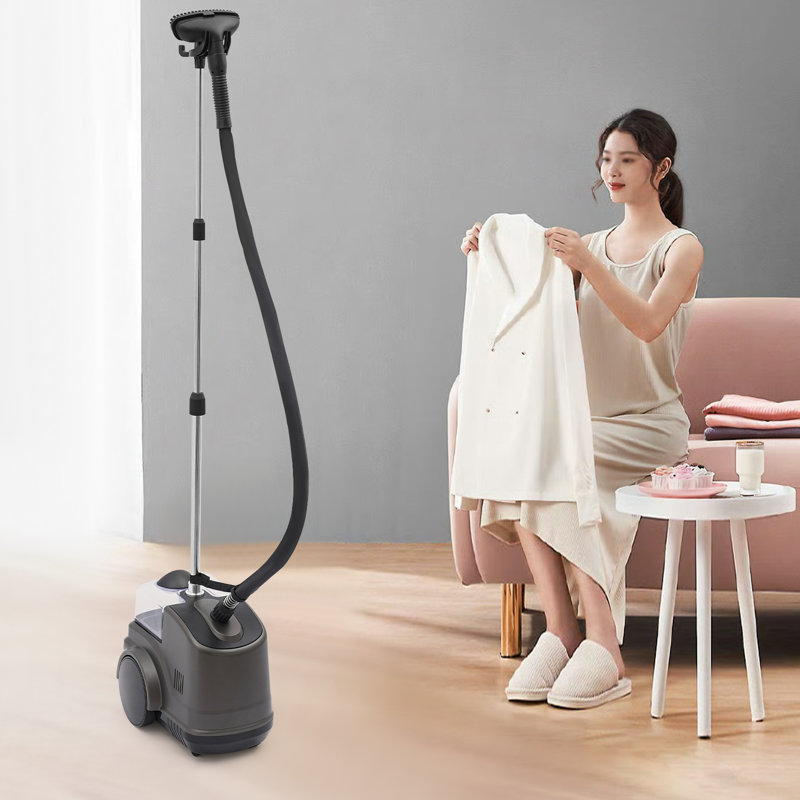 Cuiseur à vapeur professionnel 1500W, Black
