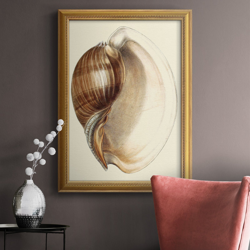 Imprimé Splendid Shells III, L 24 po x H 36 po