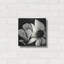 «Flowers Black White 30» par Ray Heere-741728454