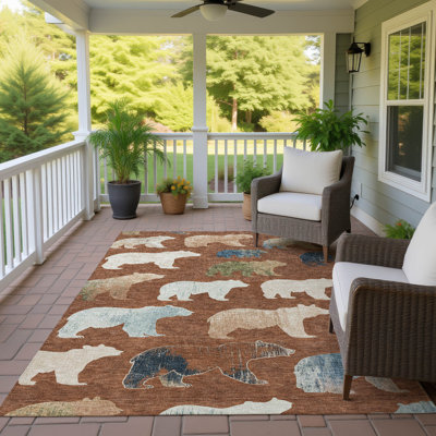Machine Washable Indoor/Outdoor Adalaide ACN2338 Lodge Rug